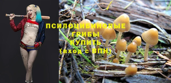 spice Абаза