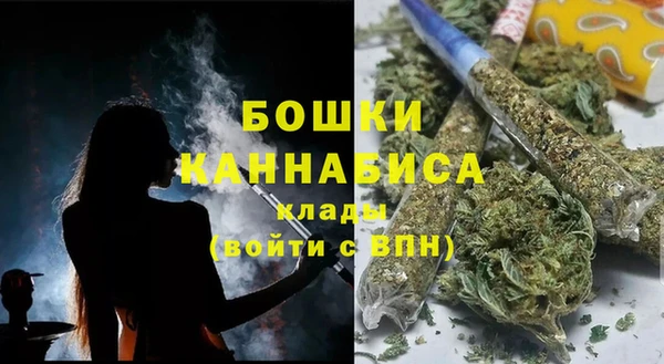 прущие грибы Покровск