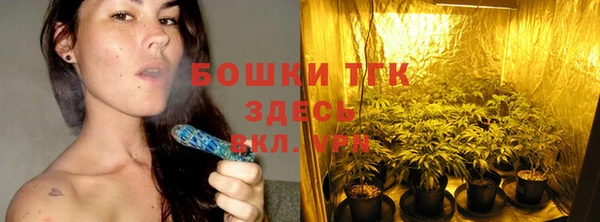 прущие грибы Покровск