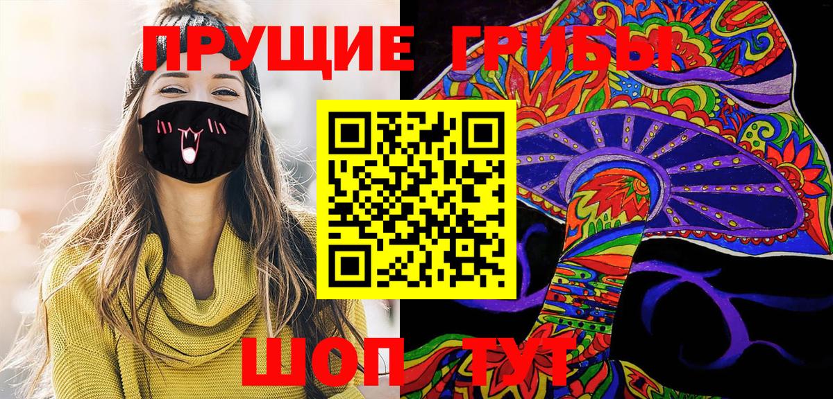 Псилоцибиновые грибы Psilocybe Моршанск