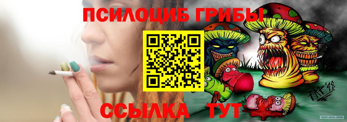 Моршанск  Галлюциногенные грибы GOLDEN TEACHER  Вход с VPN  Галлюциногенные грибы GOLDEN TEACHER 